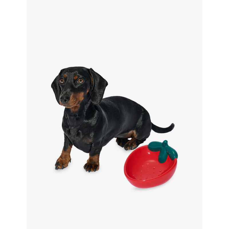 Vetreska ceramic pet bowl strawberry 16cm (British brand)