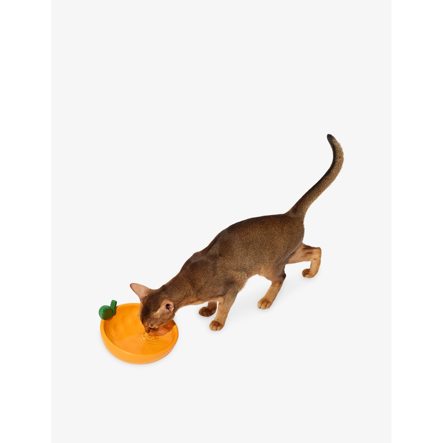Vetreska tangerine ceramic pet bowl with tilt design, UK version