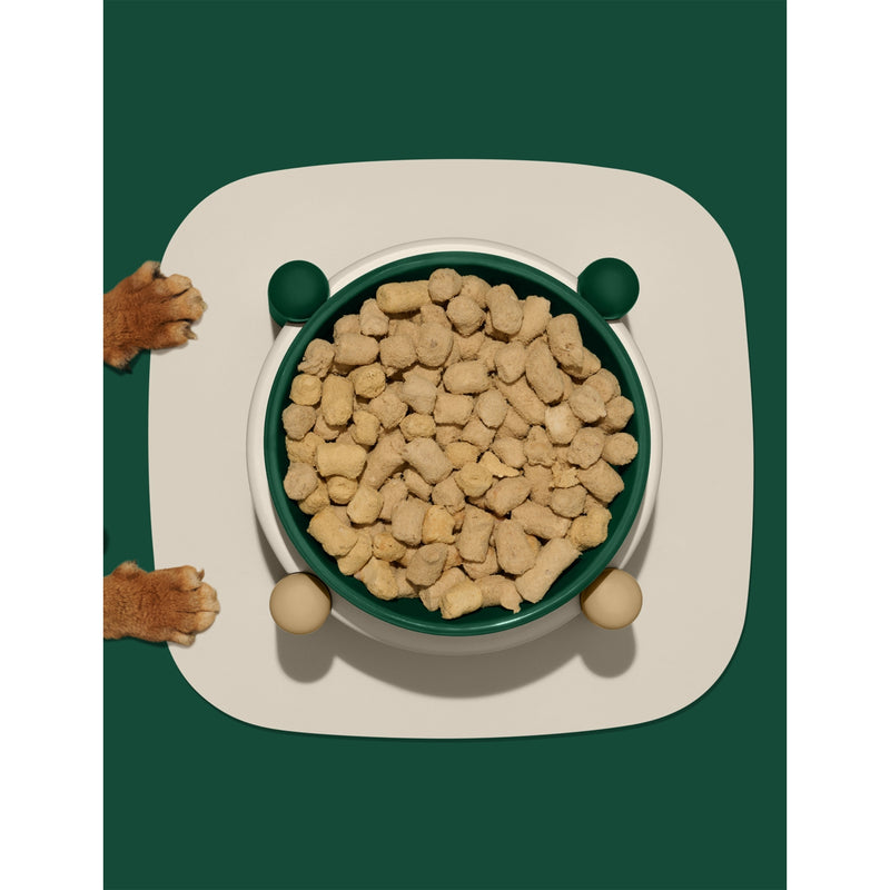 Vetreska Santal Forest ceramic pet bowl set - British product