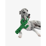 Vetreska Oasis cactus knot pet rope toy (British brand)