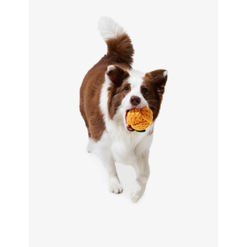 Vetreska tangerine rope pet toy - British product