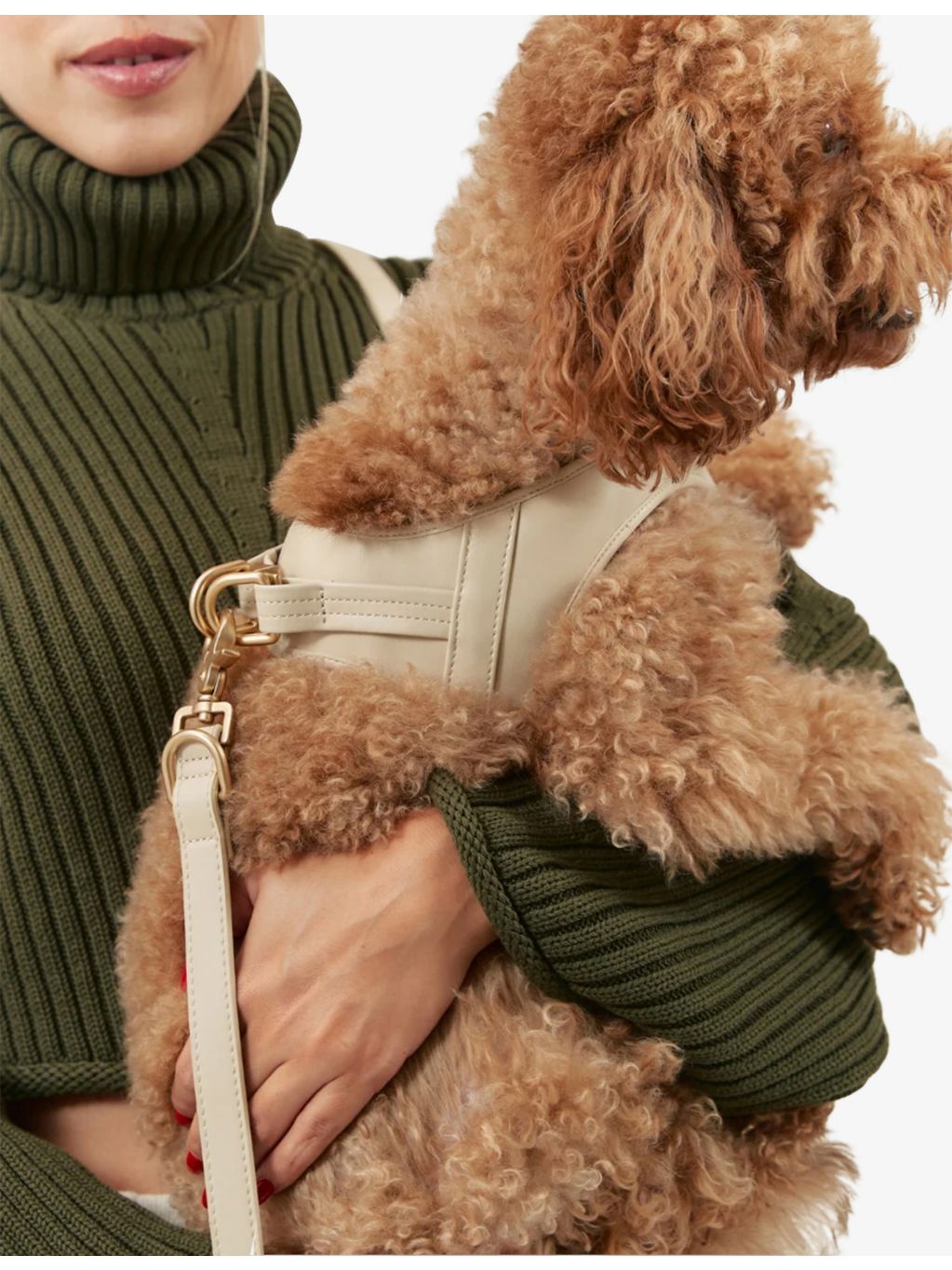 Cafide Jala vegan-leather dog harness, imported from the UK