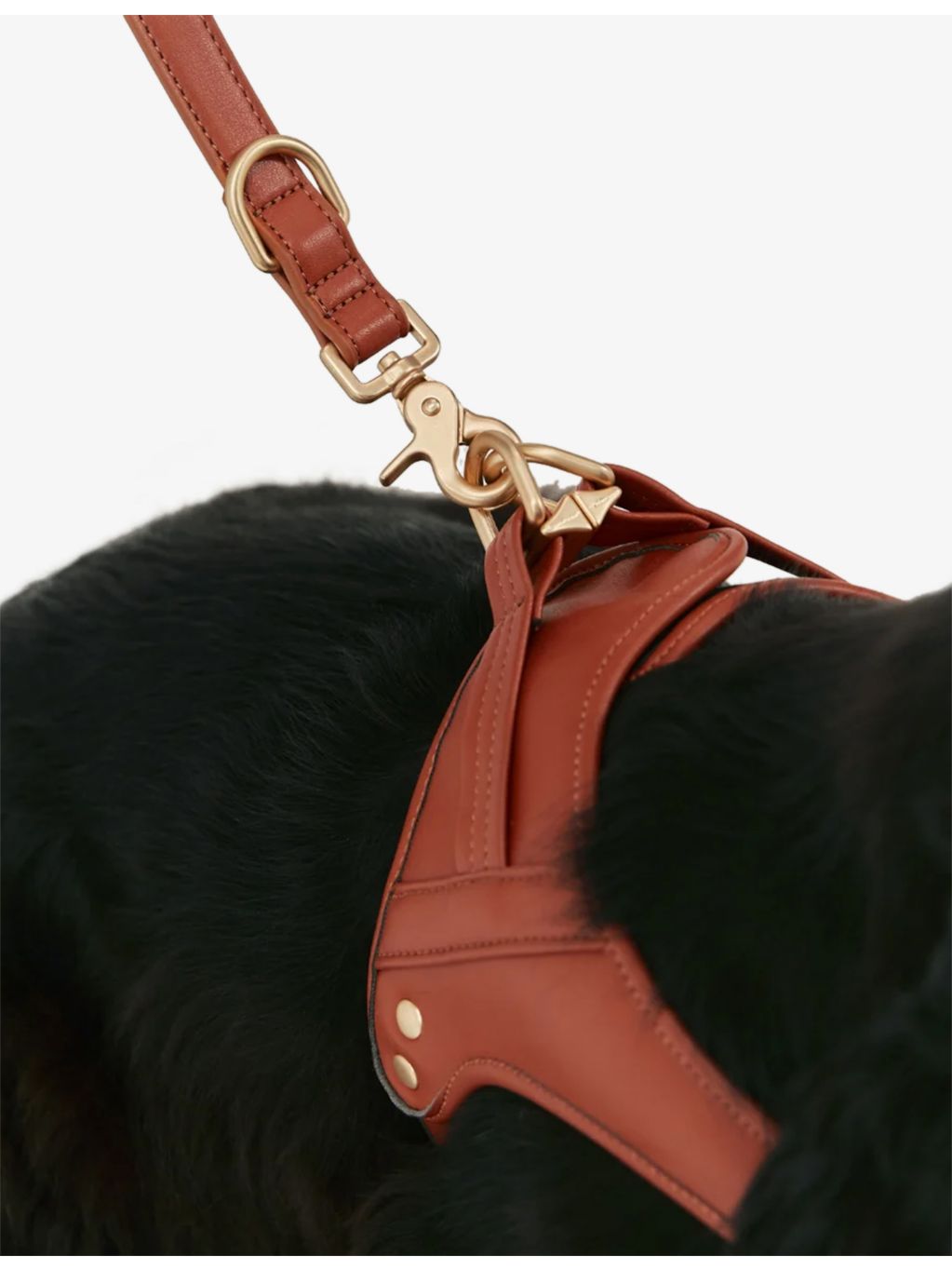 Jala vegan-leather dog harness by Cafide, imported from the UK