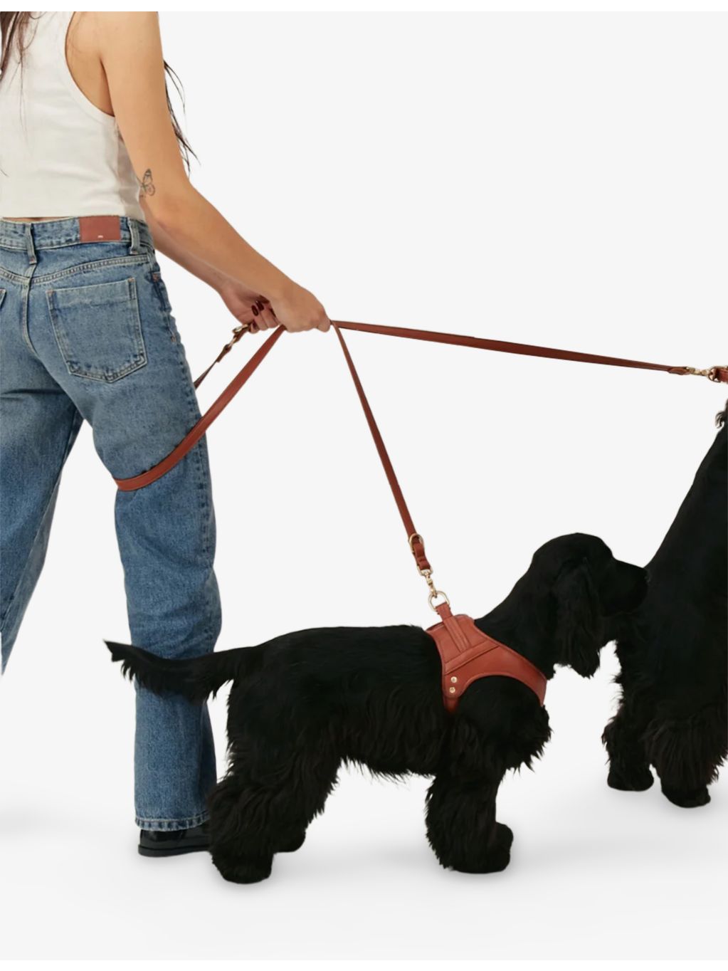 Jala vegan-leather dog harness by Cafide, imported from the UK