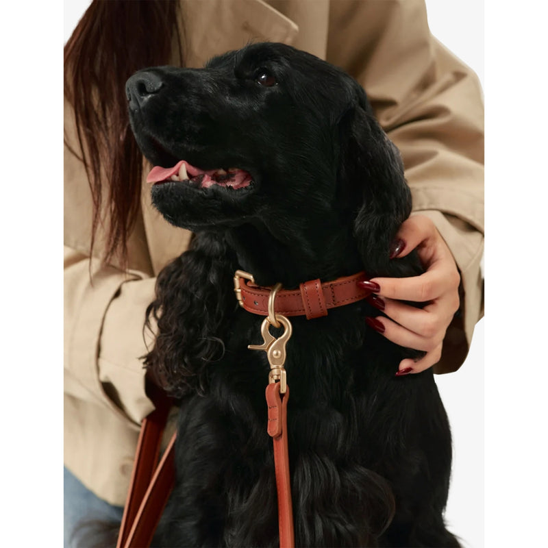 Cafide Jala vegan leather dog leash 140cm (British brand)