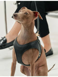 Cafide vegan-leather dog harness with zamak closure (British brand)