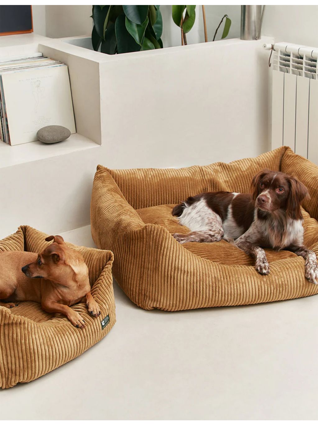 Snozy corduroy dog bed with machine washable cover, UK version