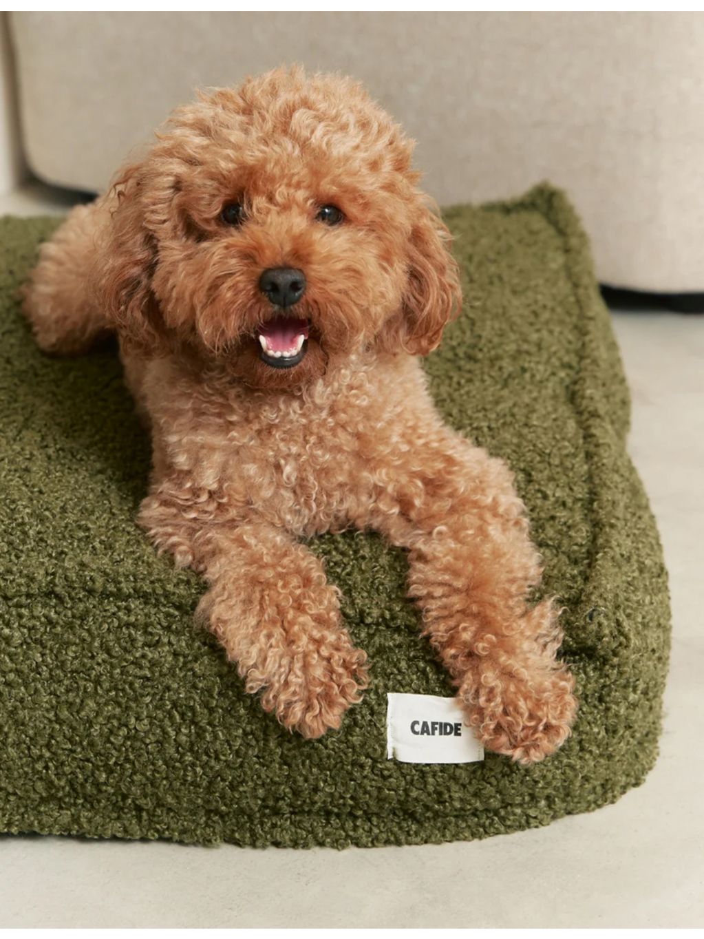 Cafide Cuadra fleece dog bed 120x90cm (British brand)
