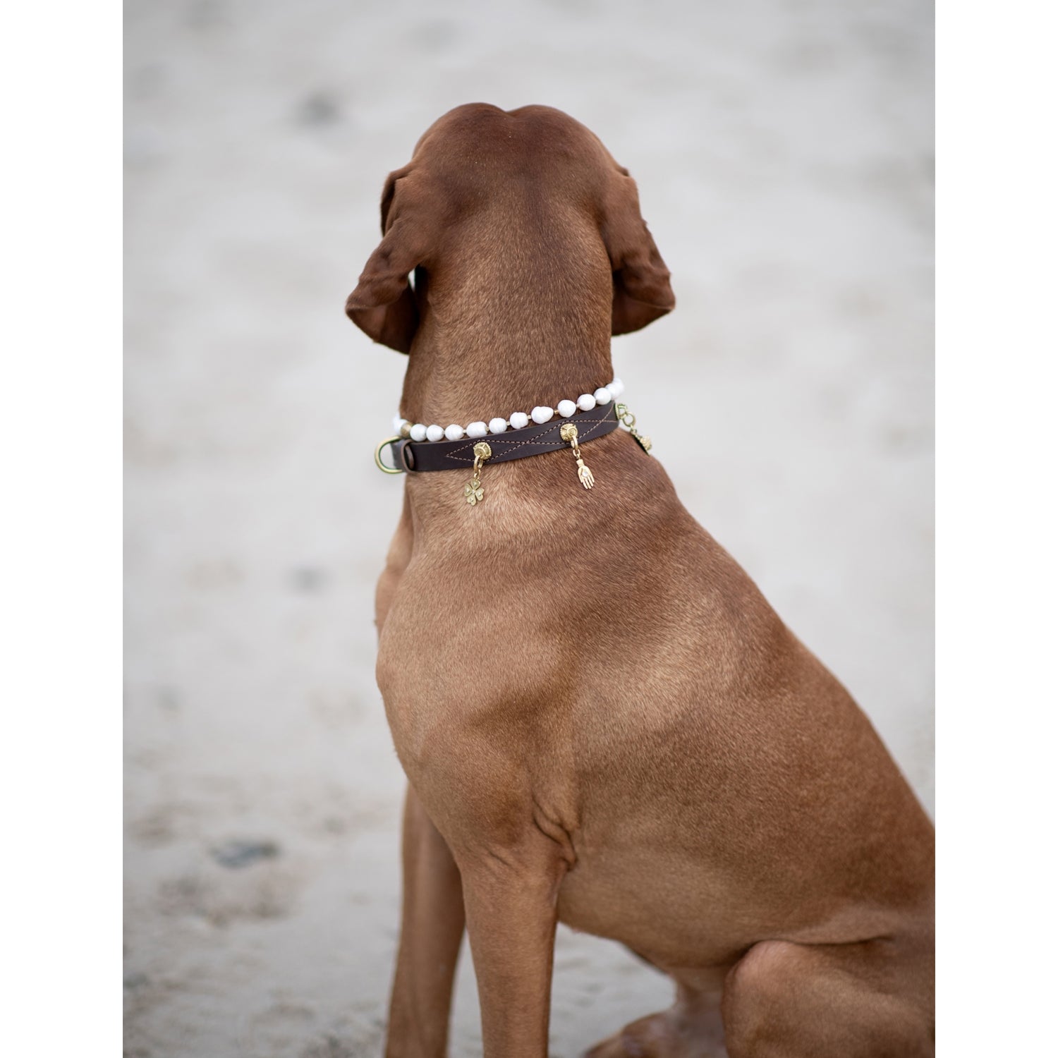 Unleash Cph Balance medium brass and freshwater pearl dog necklace - British product