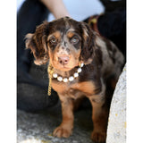 Unleash Cph Balance medium brass and freshwater pearl dog necklace - British product