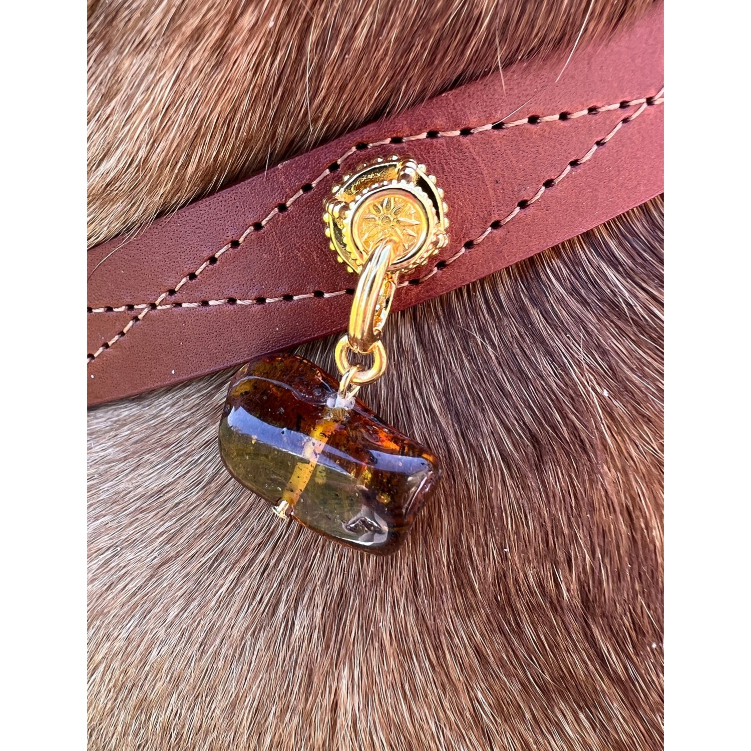 Unleash Harmony brass and amber dog collar charm - British product