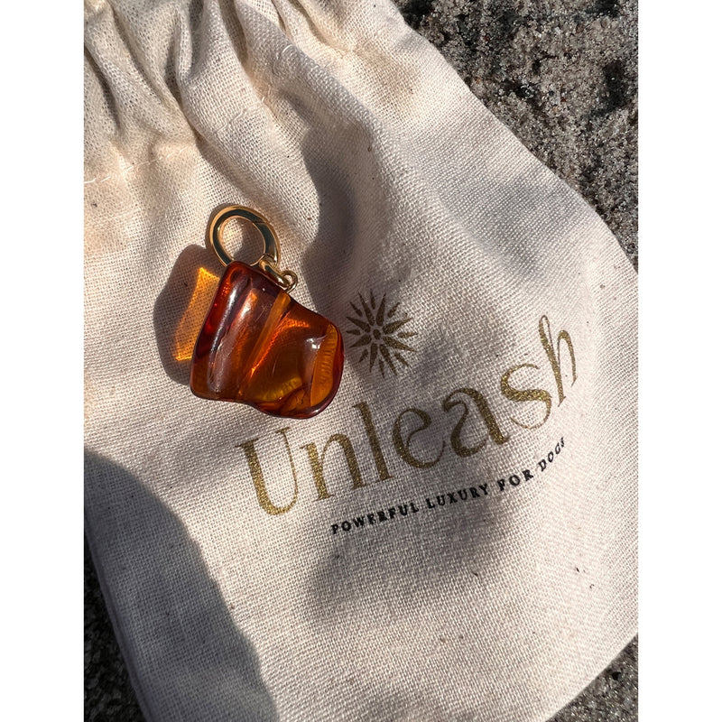 Unleash Harmony brass and amber dog collar charm - British product