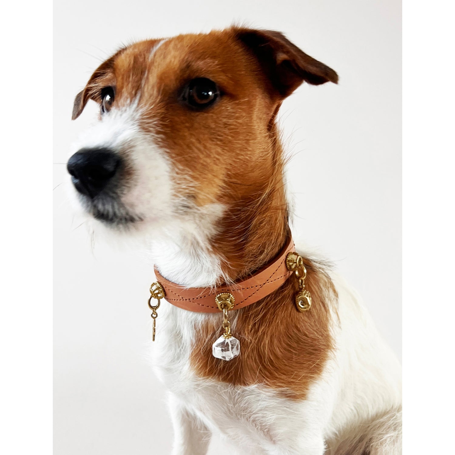 Unleash Cph brass dog collar charm with mountain crystal - British product