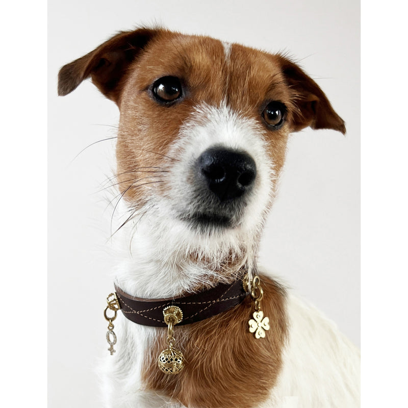 Unleash Cph brass and zircon dog collar charm, 3.5cm - British product