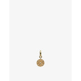 Unleash Cph Third Eye brass zircon dog collar charm, UK version