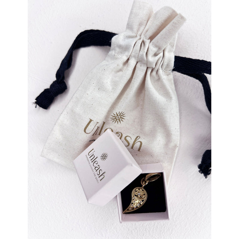 Unleash Cph brass zircon dog collar charm 4cm - British product