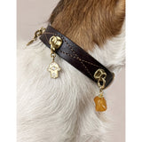 Unleash Cph brass and zircon dog collar charm, UK version