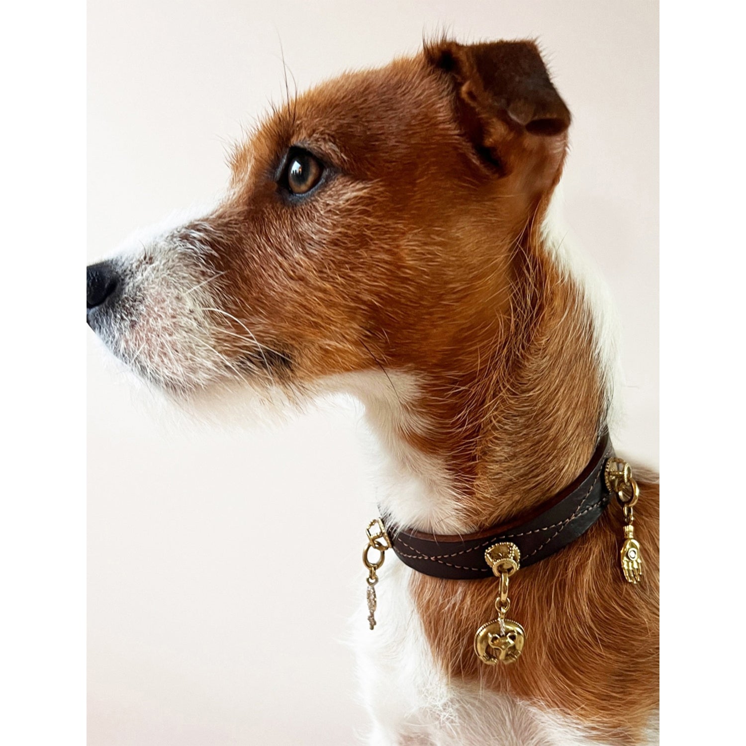 Unleash Cph brass and zircon dog collar charm, imported from the UK