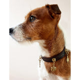 Unleash Cph brass and zircon dog collar charm, imported from the UK