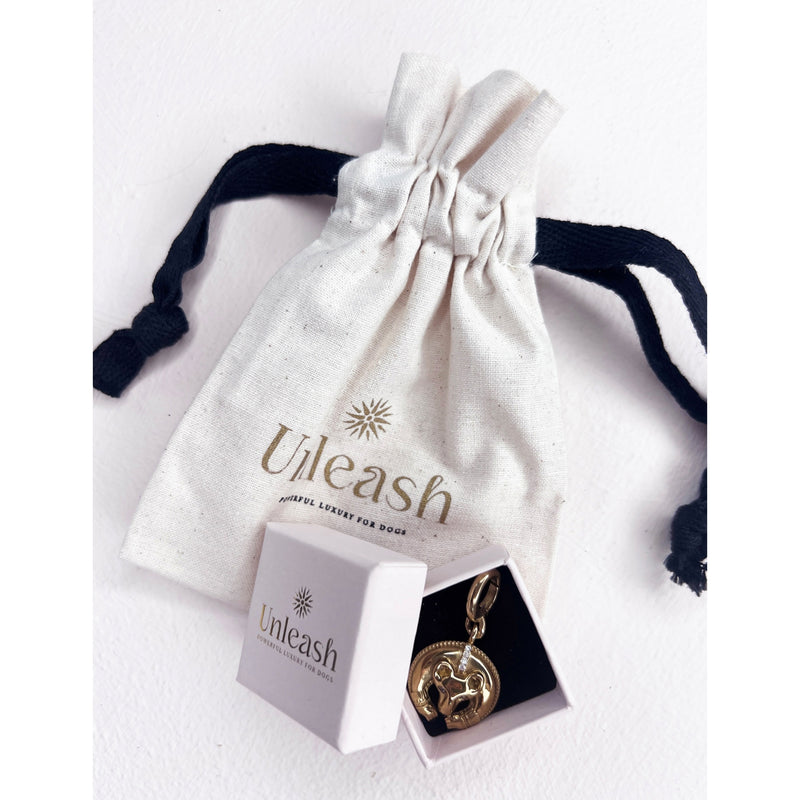 Unleash Cph brass and zircon dog collar charm, imported from the UK