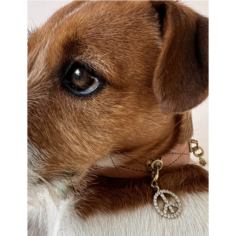 Unleash Cph peace sign brass zircon dog charm, imported from the UK