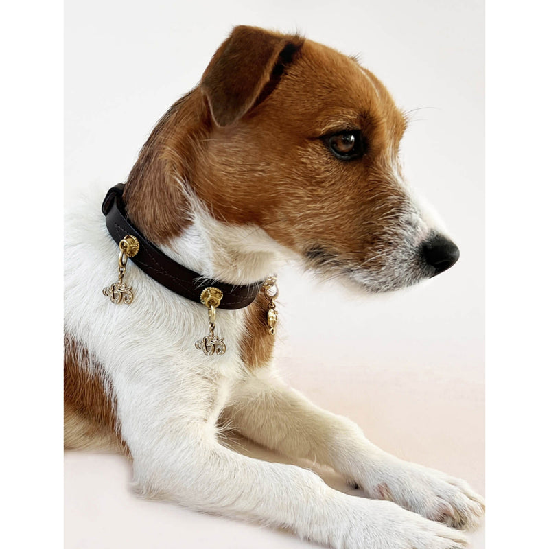 Unleash Cph brass and zircon dog collar charm, UK version