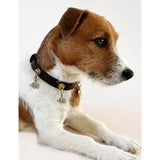 Unleash Cph brass and zircon dog collar charm, UK version