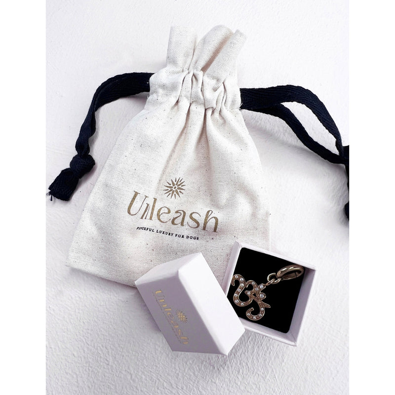 Unleash Cph brass and zircon dog collar charm, UK version