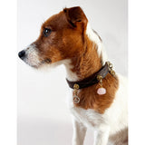 Unleash Cph Love brass rose quartz dog collar charm (British brand)