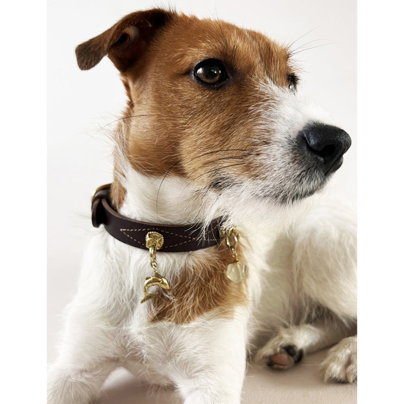Unleash Cph Depth brass and zircon dog collar charm 4cm (British brand)