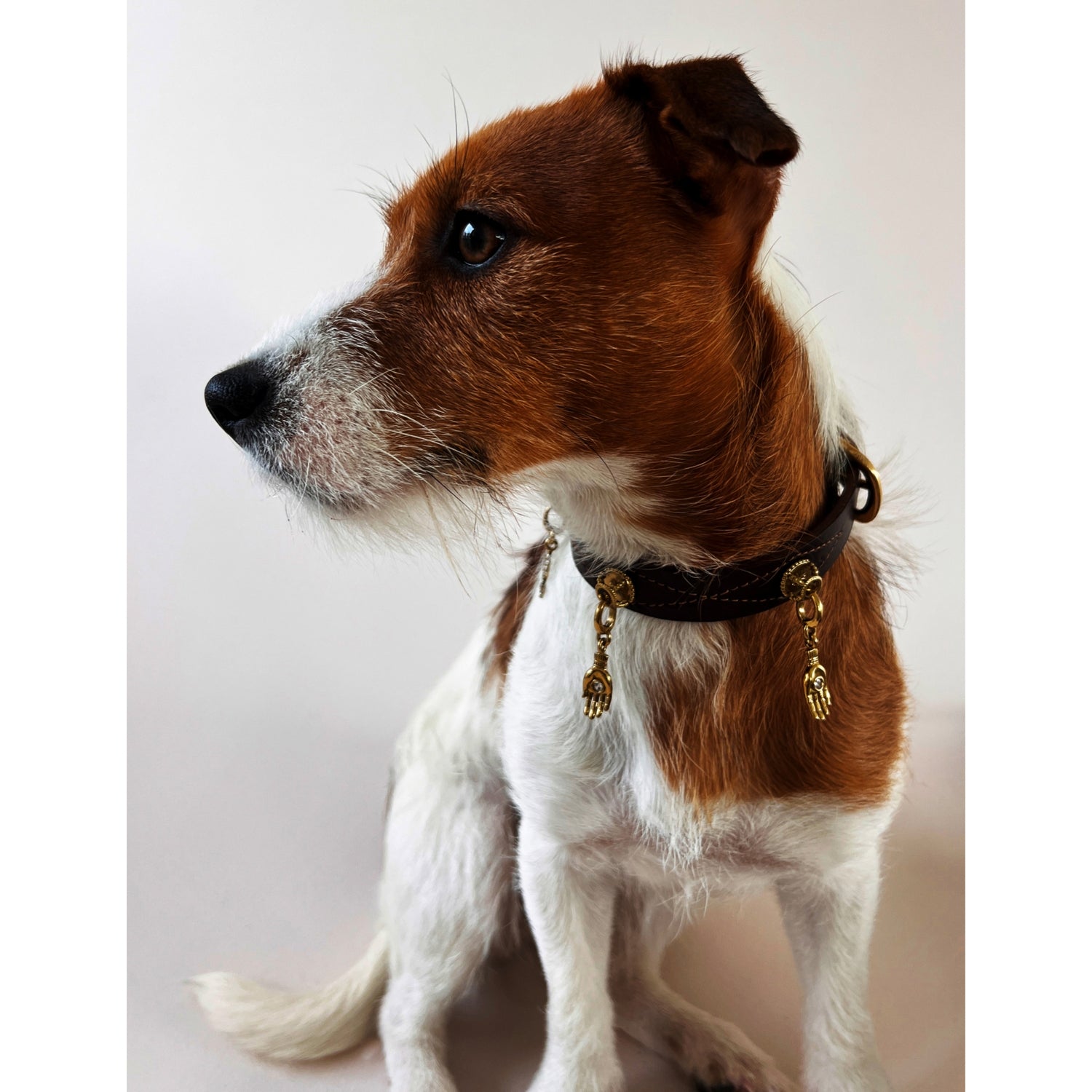 Unleash Cph dog collar charm brass and zircon 3.8cm, imported from the UK