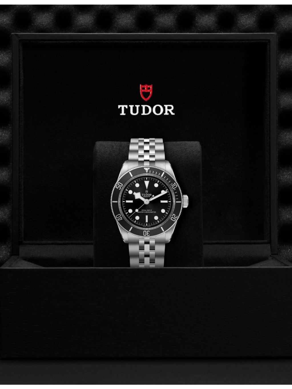 Tudor Black Bay stainless-steel automatic watch 41mm (British brand)