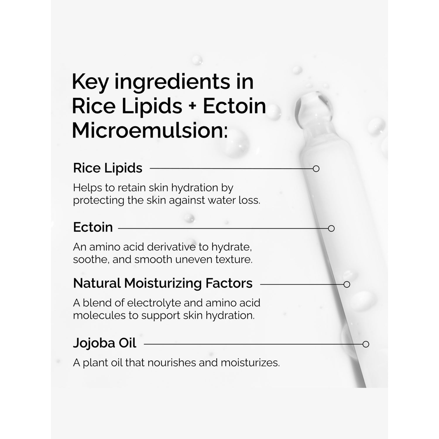 The Ordinary Rice Lipids + Ectoin moisturiser 60ml, UK version