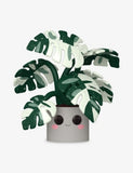 Funko Pop! Plants Monstera vinyl figure 25.4cm, UK version