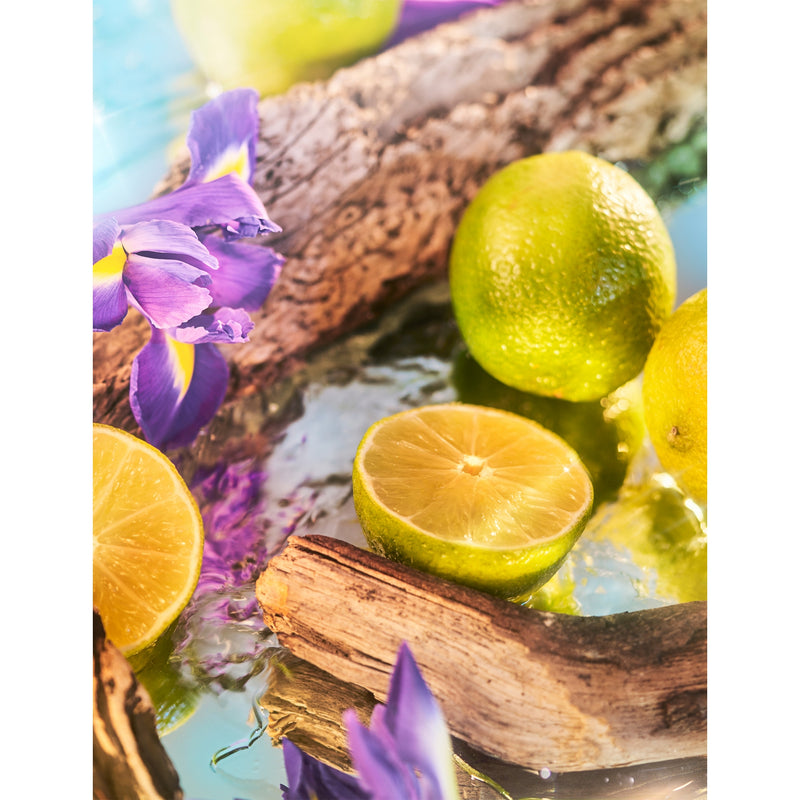 Roja Parfums Oceania parfum 50ml - British product