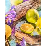Roja Parfums Oceania parfum 50ml - British product