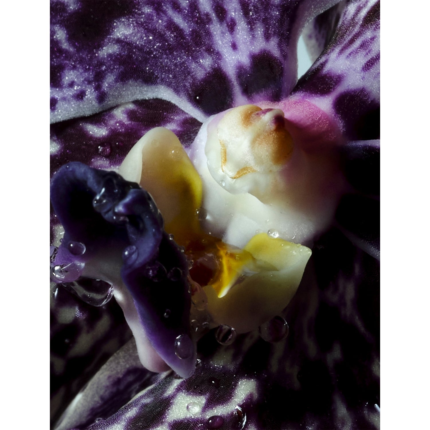 Dries Van Noten soap Soie & Amber 400ml, imported from the UK