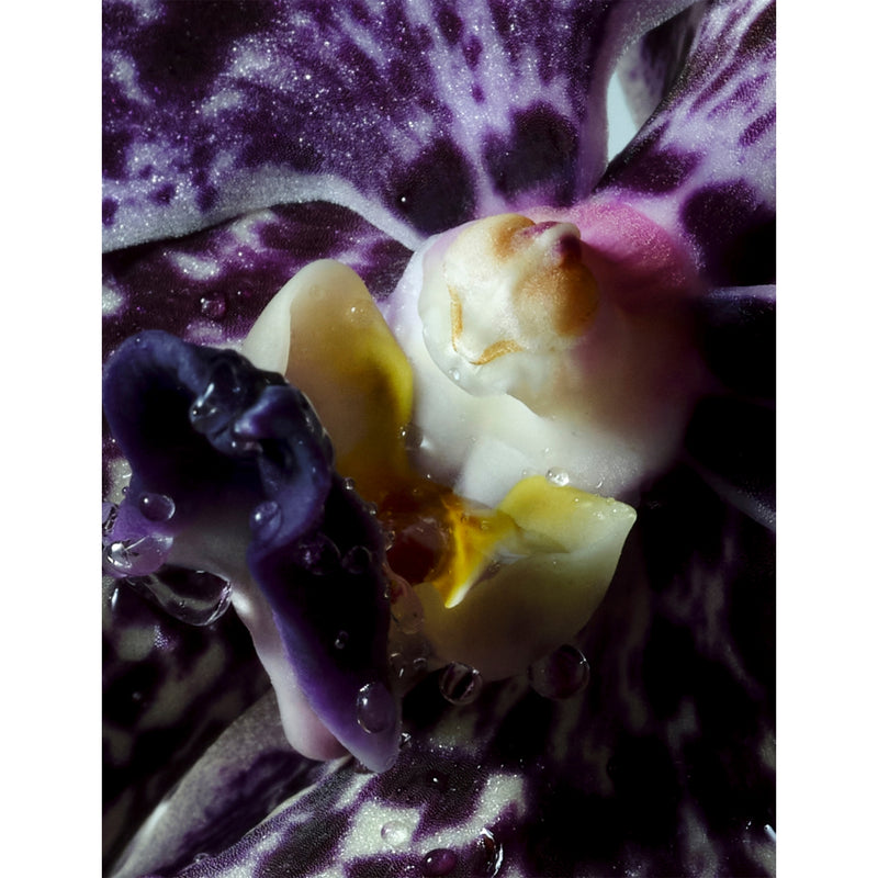 Dries Van Noten soap Soie & Amber 400ml, imported from the UK