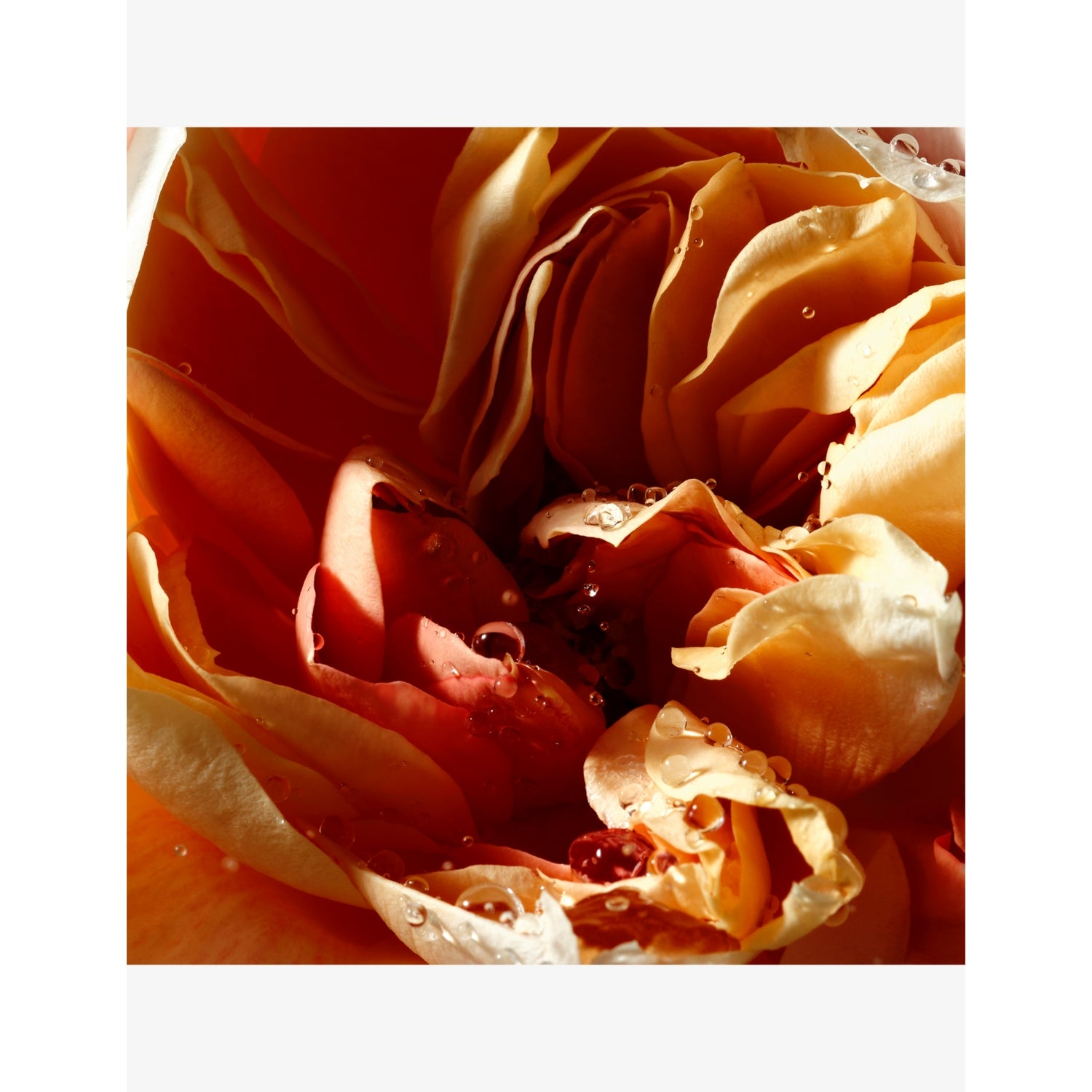 Dries Van Noten Pepper & Rose liquid soap refill 400ml, UK version