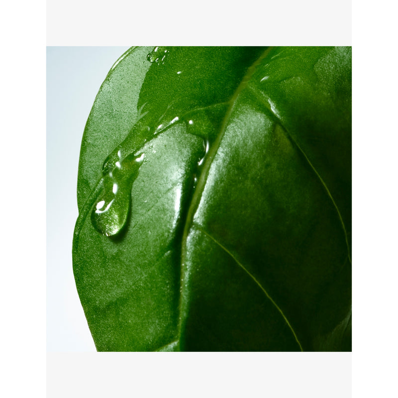 Dries Van Noten Basil & Hinoki liquid soap refill 400ml, UK version