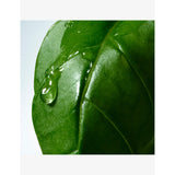 Dries Van Noten Basil & Hinoki liquid soap refill 400ml, UK version