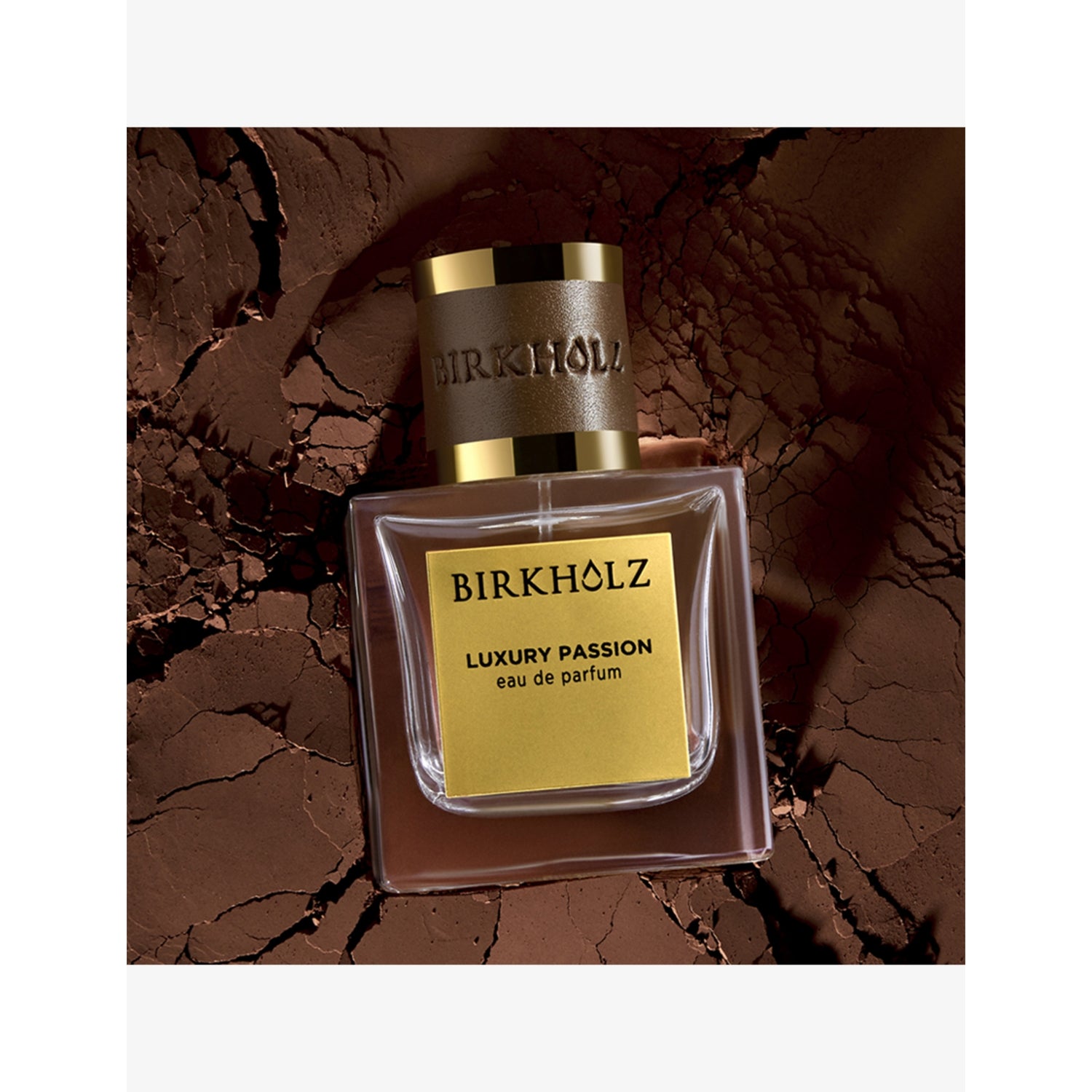 Birkholz Luxury Passion eau de parfum 100ml (British brand)