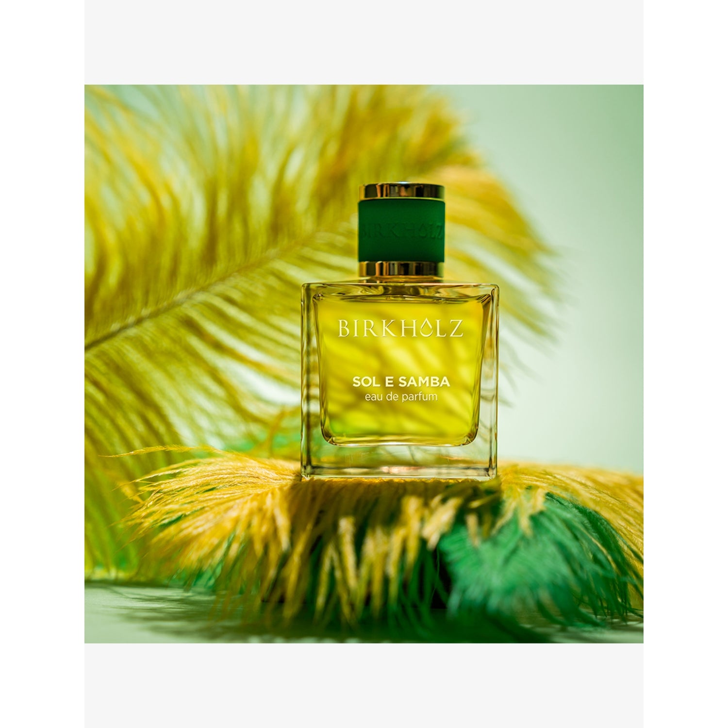 Birkholz Sol e Samba eau de parfum 100ml, UK version
