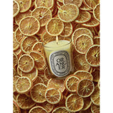 Diptyque Oranger candle 190g, UK version