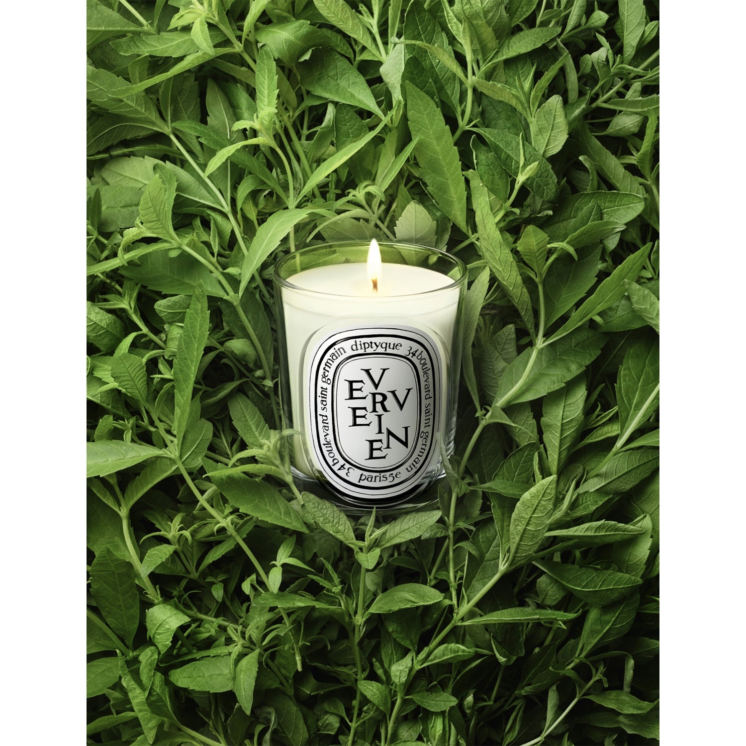 Diptyque Verveine scented candle 190g (British brand)