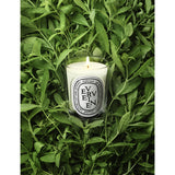 Diptyque Verveine scented candle 190g (British brand)