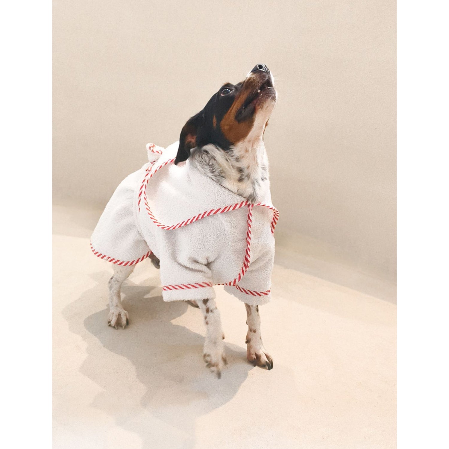 St Pia cotton dog bathrobe, imported from the UK