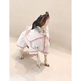 St Pia cotton dog bathrobe, imported from the UK