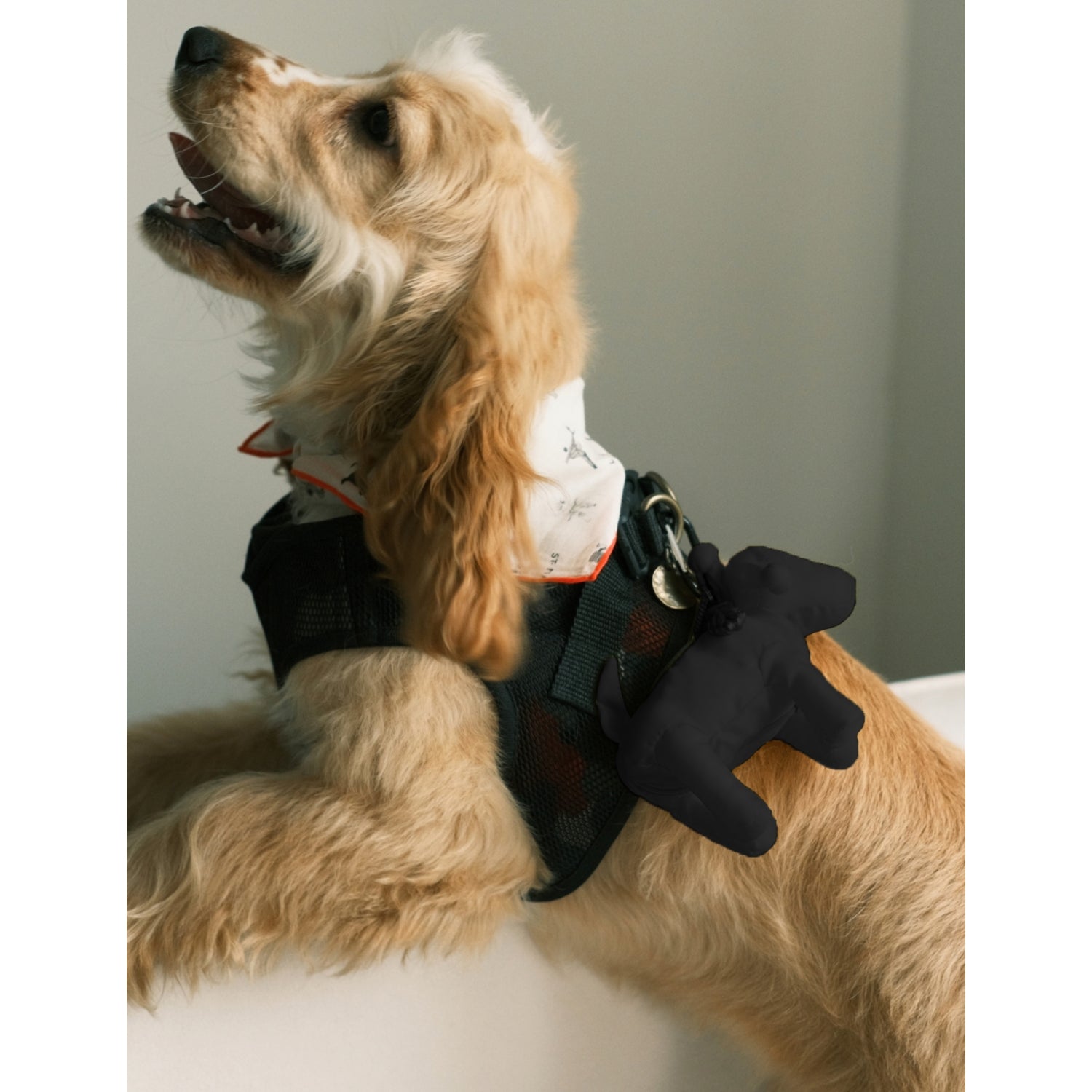St. Pia Pompaw woven dog poop bag holder, imported from the UK