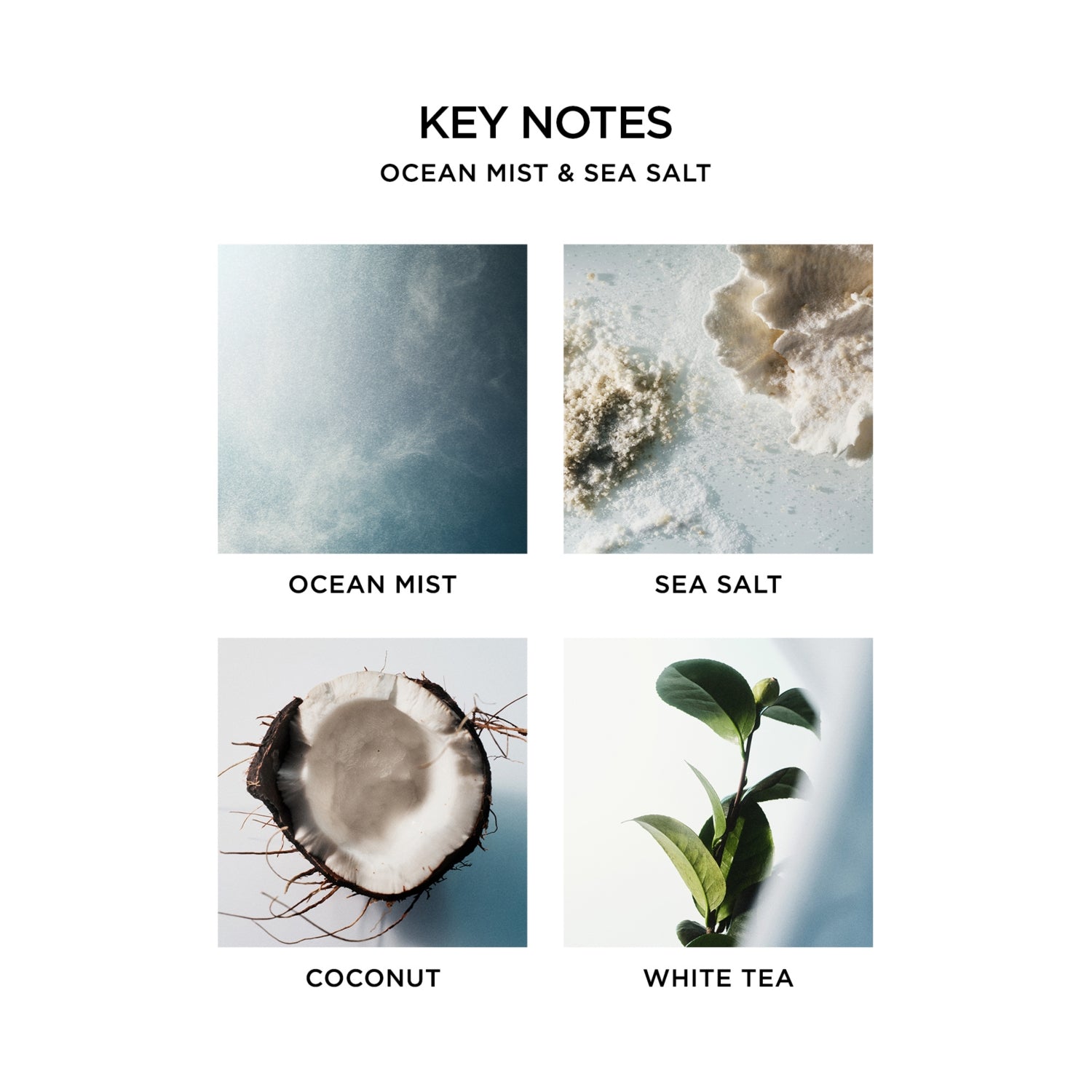 NEST New York Ocean Mist and Sea Salt candle 230g (British brand)